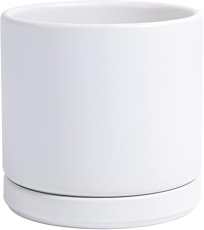 D'vine Dev Ceramic Planter Pot with Drainage Hole and Saucer, Indoor Cylinder Round Flower Pot, 4.6 Inch, White, 94-O-B-1