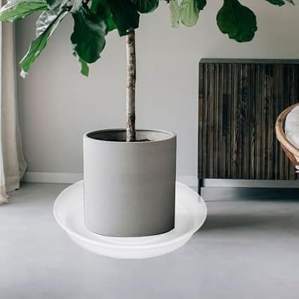 6 Pack of 10 inch Plant Saucer Clear, Heavy Duty Plastic Plant Saucer 10 inch, Durable Plant Tray for Pots, Flower Plant Saucers for Indoors, Plant Trays for Planter 8"/9"/10" (10", Clear)