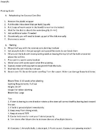 Indoor Amaryllis Kit - Double King - Big Double Red