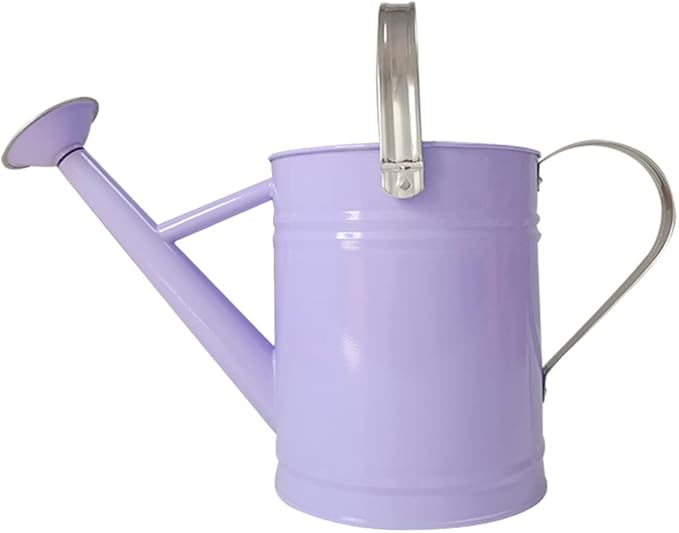Metal Watering Can for Outdoor and Indoor Plants, Watering Can Decor, 1 Gallon (Purple)