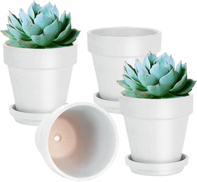 vensovo 6 Inch White Terracotta & Clay Pots for Plant with Saucer - 4 Pack Medium Terra Cotta Planter with Drainage Hole, Flowerpot for Indoor Outdoor Plants, Crafts, Wedding Favor