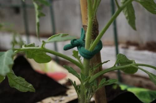 Soft Garden Plant Ties for Indoor & Outdoor Plants - Strong & Stretchy Cut-to-Length Plant Tape for Climbing Plants, Tomato Vines & Home Gardening (65 ft / 20M)