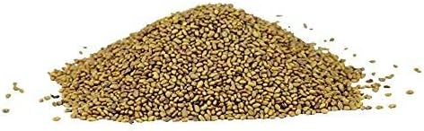 Alfalfa Sprouting Seed | Non GMO | Grown in USA | from Our Farm to Your Door (1/4 Pound (4oz))