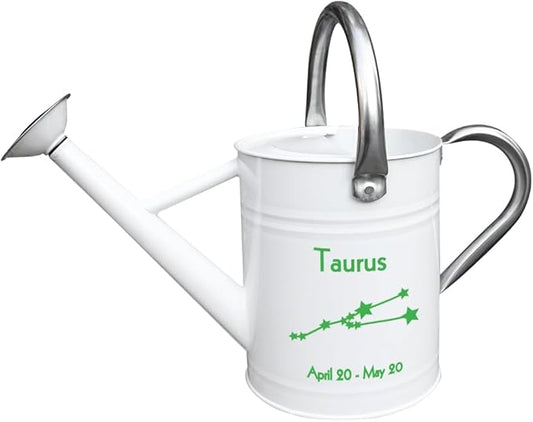 Metal Watering Can for Outdoor and Indoor Plants, Watering Can Decor, 1 Gallon (Taurus)