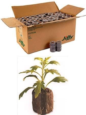 1000 Count (Full Case) - Jiffy 7 Peat Pellets - Seed Starter Soil Plugs - 36 mm - Start Seedlings Indoors - Easy To Transplant