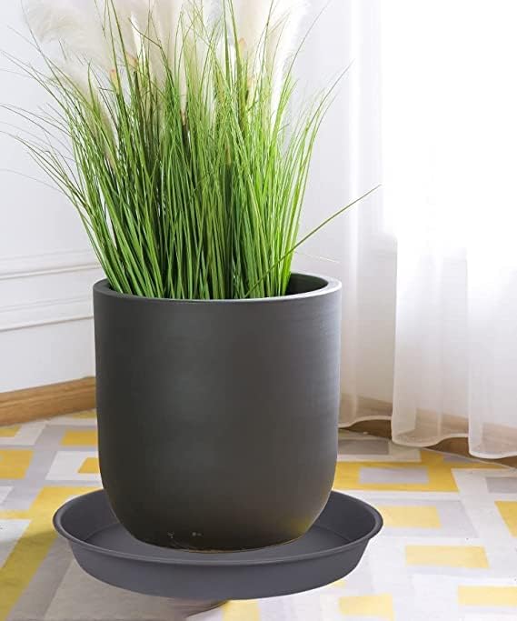 6 Pack of 10 inch Plant Saucer Gray, Heavy Duty Plastic Plant Saucer 10 inch Round, Durable Plant Tray for Pots, Plant Saucers for Indoors, Plant Trays for Planter 9"/10" (10", Cement Gray)