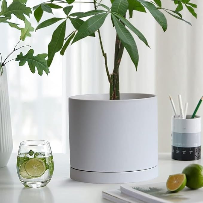 Ceramic Plant Saucer Pot Tray 12 Inch, Planter Saucers 4 5 6 7 8 9 10 11 12 Inch for Indoors Outdoor, Durable Sturdy Flower Drainage Tray for Glazed Pots Base (12.5 Inch-White)