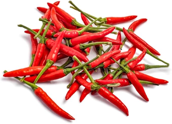 2025 Early Bird-Hot Pepper Seeds for Planting,Non-GMO Heirloom Seeds Vegetable Seeds,Asian Chile Pepper Seeds for Home Vegetable Garden & Hydronic Pods,泰国小米椒(50ct Veggie Seeds-Thai Bird)