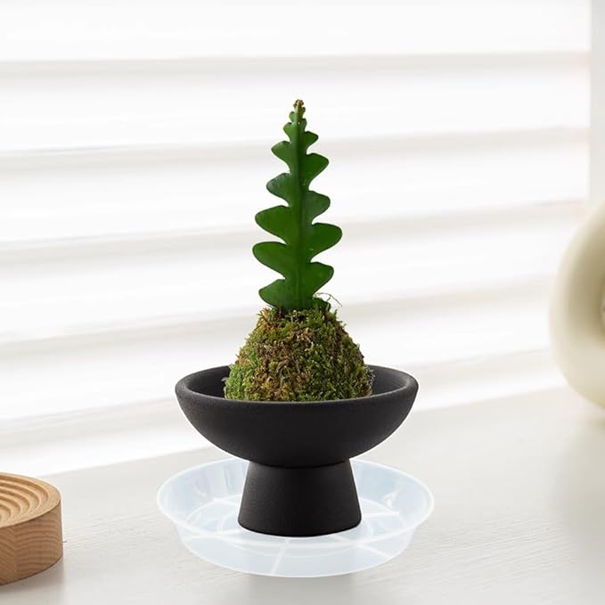 2 Pack Plant Saucer Drip Tray 12 inch, Heavy Sturdy Plastic Planter Flower Pot Saucers for Indoor Outdoor Garden, Plant Water Drip Trays for pots (12" 2Pack, Clear)