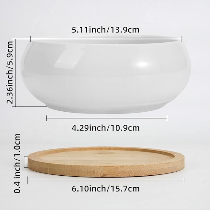 ZOUTOG 2 Pack Succulent Pots, 6 inch Ceramic Planters for Indoor Plants with Bamboo Tray, Pots with Drainage, Seeds＆ Plants Not Included