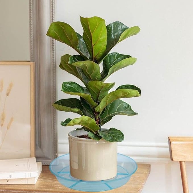 6 Pack Plant Saucer Drip Tray, 4 5 6 8 9 10 12 14 16 18 inch, Heavy Sturdy Plastic Planter Flower Pot Saucers for Indoor Outdoor Garden, Plant Water Drip Trays for pots Base (4", Blue)