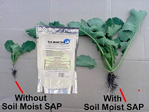 Super Absorbent Polymer Helps Plant Growth and Plant Establishment (40 Pounds)