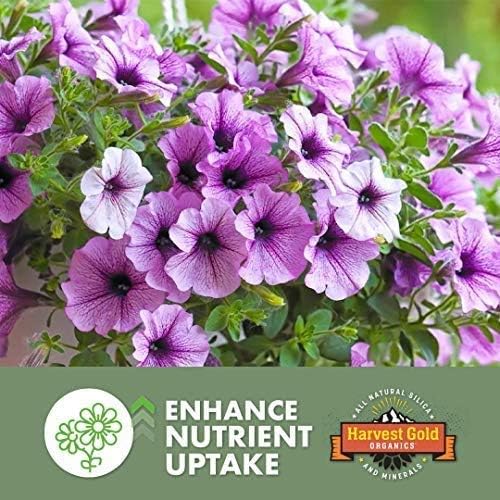 Premium Soil Conditioner All Purpose for Houseplants, Flowers, All Vegetables and Trees, Provides Natural Silica and Micronutrients (5 Gallon Bucket)