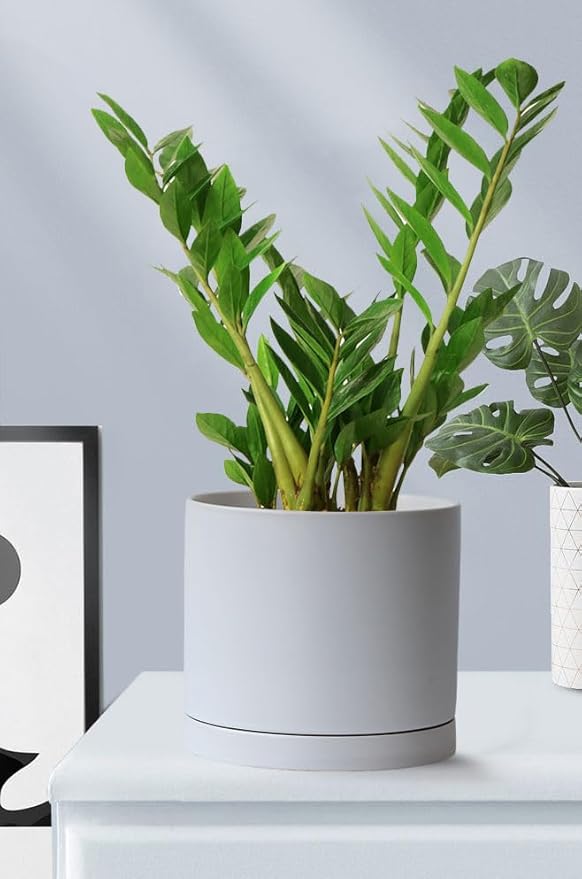 Aveyas 8 inch Ceramic Plant Pot with Drainage Hole and Saucer - Suitable for Indoor and Outdoor Use, Modern Planters for House Garden Flower Tree Snake Monstera Plants (8", Matte White)