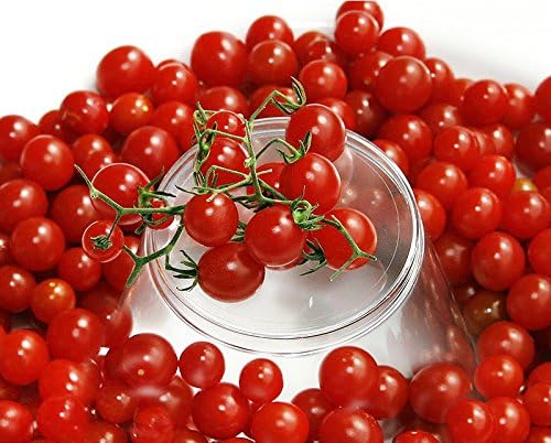 30 Sweet Pea Currant Tomato Seeds, Heirloom Non-GMO, Extra Sweet and Heavy-Yielding, Low Acid, Indeterminate, Open-Pollinated, Long Season, Super Delicious, from USA Lycopersicon esculentum