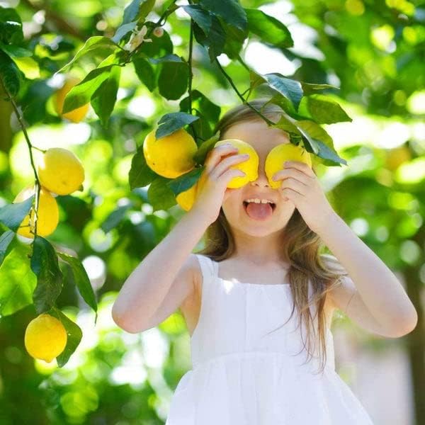 Grow Like a Pro: Gardenera's Lemon Tree Potting Mix - The Key to Luscious, Healthy Citrus Limon Trees [20 Quart Bag]