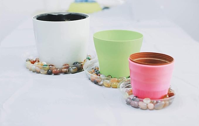 TRUEDAYS 20 Pack 8 Inch Plant Saucers Clear Plant Saucers Flower Pot Plastic Drip Trays Excellent for Indoor & Outdoor Plants