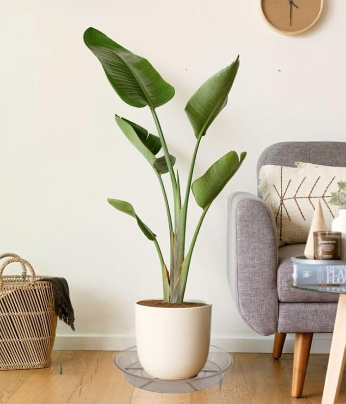 2 Pack Plant Saucer Drip Tray 13 14 inch, Large Heavy Sturdy Plastic Planter Flower Pot Saucers for Indoor Outdoor Garden, Plant Water Drip Trays for pots (14" 2Pack, Grey)