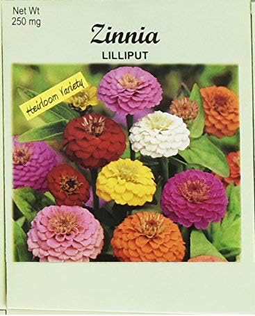 Set of 100 Flower Seed Packets! Flower Seeds in Bulk (100, Zinnia Lilliput)