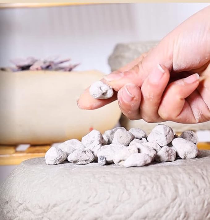 Horticultural Pumice for Plants by Doter 2 QT, Soil Amendment for Bonsai and Cactus Plants