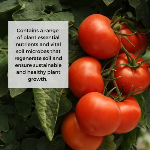 Ecoworm Soil Extract Organic Vermicompost Fertilizer for Indoor and Outdoor Flowers - 35 fl oz (Makes 53 gallons)