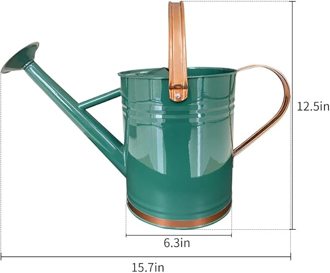 Metal Watering Can for Outdoor and Indoor Plants, Watering Can Decor, 1 Gallon (1 Gallon Green2)