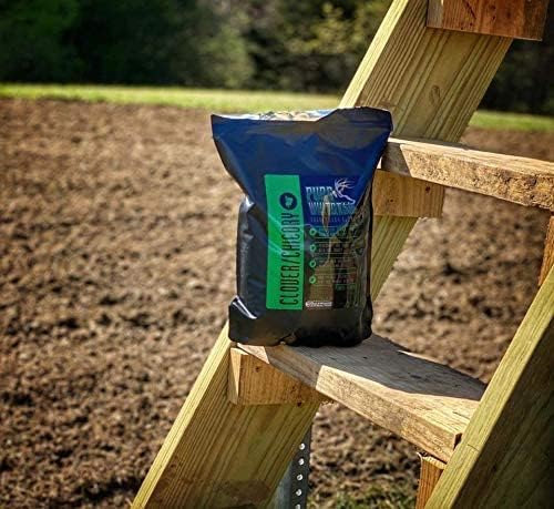 Clover/Chicory | Select Seed Blends | All Season Whitetail Deer and Turkey Perennial Food Plot Seed | Drought Resistant | Easiest Turkey and Deer Feeders | 5 lb Bag | 3-Pack