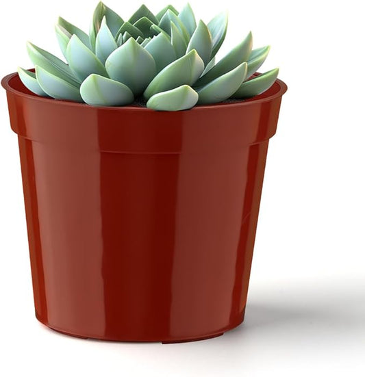 100-Pack 2.5 inches Plus Tiny Round Plant Pots Succulent Seedling Nursery Pots Made from Virgin Grade PP Material(Tiny, 68mm2.5 inch)