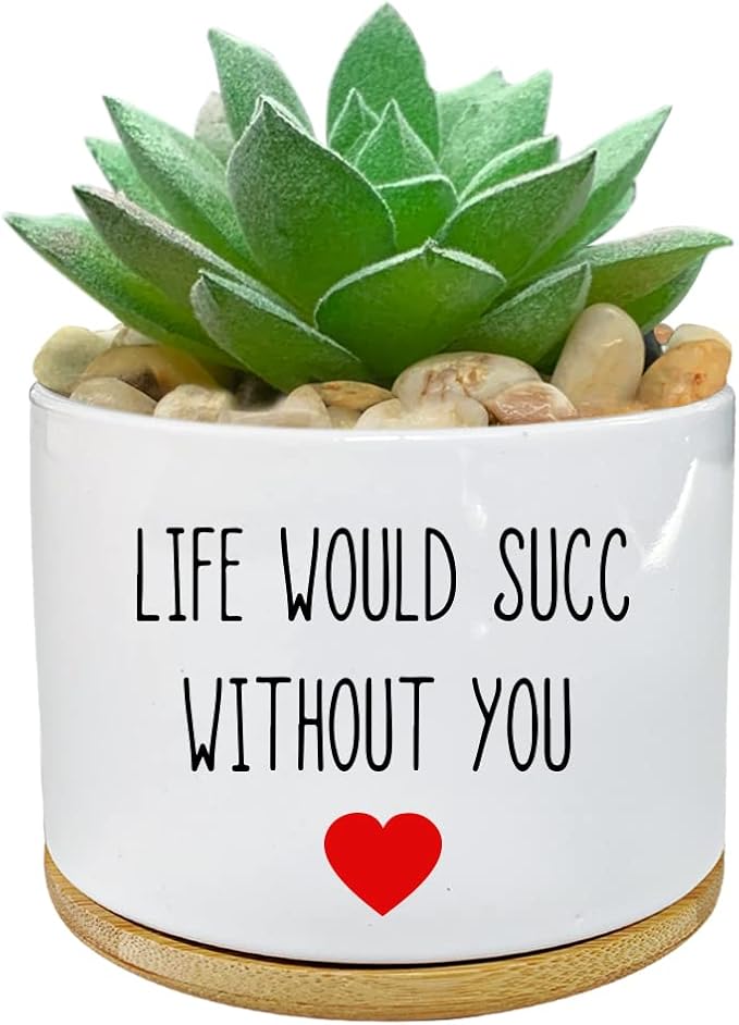 Funny Life Would SUCC Without You Planter Pots, White Ceramic Engraved Mini Succulent Cactus Planter Pot, Home Office Windowsill Plant Pots for Plant Lover Birthday