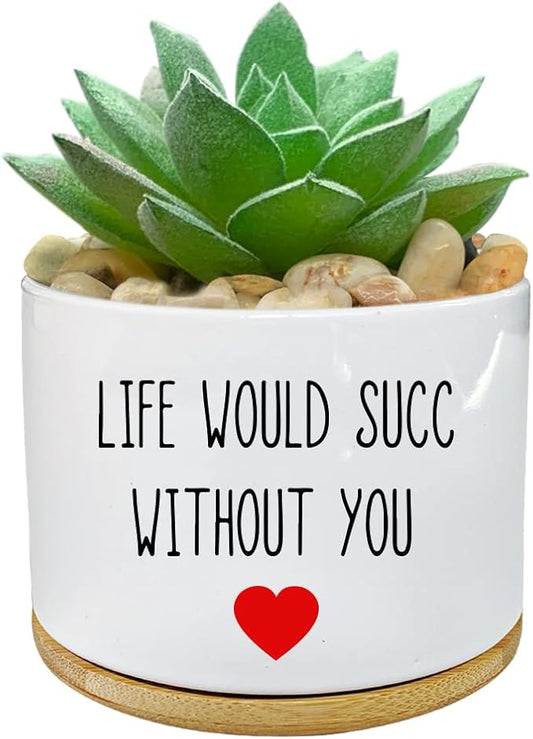 Funny Life Would SUCC Without You Planter Pots, White Ceramic Engraved Mini Succulent Cactus Planter Pot, Home Office Windowsill Plant Pots for Plant Lover Birthday