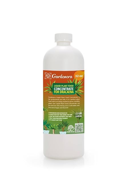 Plant Growth Superfood for Dracaena with 18 Essential Vitamins & Minerals - Organic Plant Food Fertilizer - Micro-Fungi and Bio-Organisms for Dracaena Plant Care & Growth Enhancement - 32oz