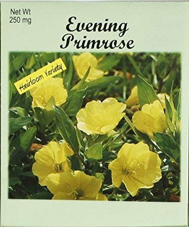 Set of 100 Flower Seed Packets! Flower Seeds in Bulk (100, Evening Primrose)