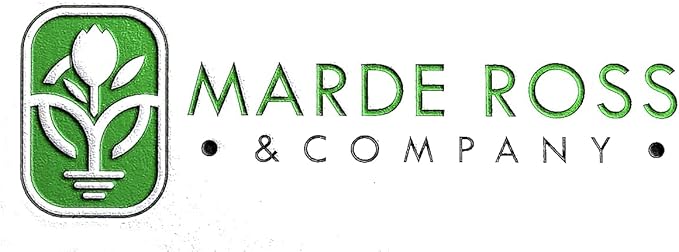 Double Dream Amaryllis - Bare Root Bulb - 28-30 cm - Double Pink Amaryllis