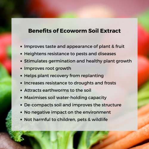 Ecoworm Soil Extract Organic Vermicompost Fertilizer for Indoor and Outdoor Flowers - 35 fl oz (Makes 53 gallons)