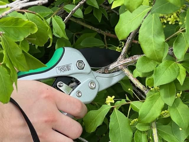 Premium Heavy Duty Ratchet Pruning Shears, Professional Hand Pruner Garden Tool, Ergonomic Grip, 8 Inch yard clippers, Quality Carbon Steel with Ratchet Mechanism, ideal for women, senior