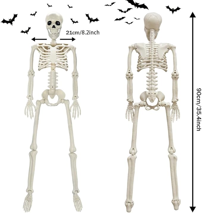 CAMIRUS 2PACK Plastic Posable Halloween Skeleton Decorations, 3FT Poseable Skeleton Full Body with Movable Joints for Halloween Indoor/Outdoor Haunted Houses, Lawn, Graveyard Decor