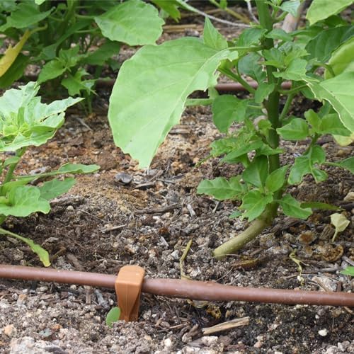 DIG ML-112B ¼” 100’ MICROLINE™ Dripline, 12” Dual Outlet Emitter Spacing, UV-Resistant Tubing for Efficient Irrigation | Ideal for Raised Beds | Flexible, Durable, Easy Installation (Brown)