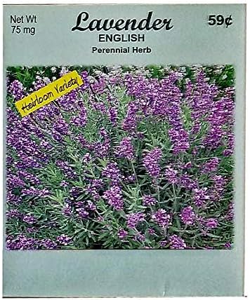 Set of 50 Flower Seed Packets! Flower Seeds in Bulk (50, Lavender)
