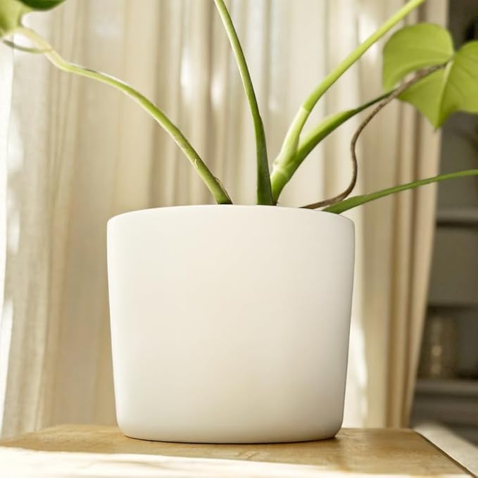Willowy 9 Inch Matte White Ceramic Planter - Ceramic Plant Pots for Indoor, White Indoor Planter, White Flower Pot for Indoor Plants, 9 Inch Plant Pot, 9 Inch Ceramic Planter, 9 Inch Pot with Drainage