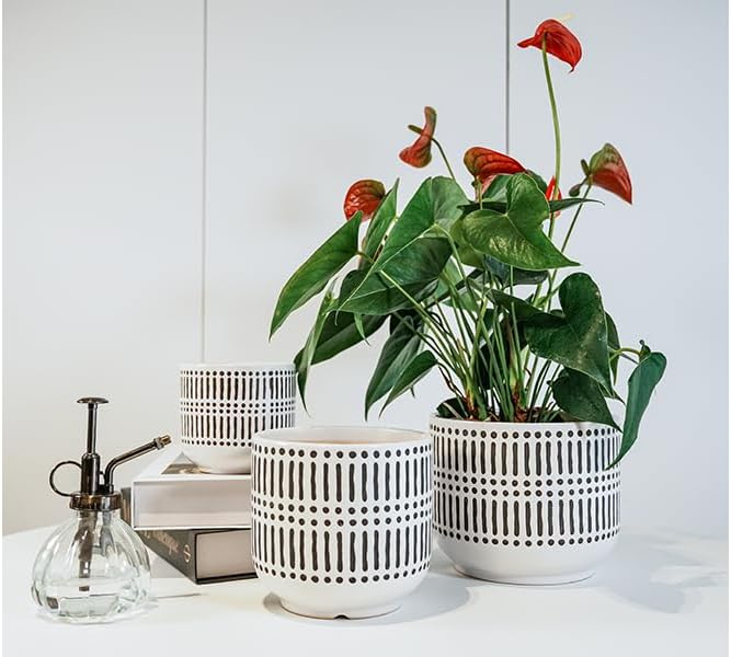 Docrin Plant Pots Ceramic: 6.5+5.3+4 Inch Flower Pots with Drainage Holes for Home/Office - Set of 3/White and Black