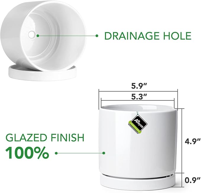 Aveyas 6 inch Ceramic Plant Pot with Drainage Hole and Saucer - Suitable for Indoor and Outdoor Use, Modern Planters for House Garden Orchid Flower Snake Monstera Plants (6", Glossy White)