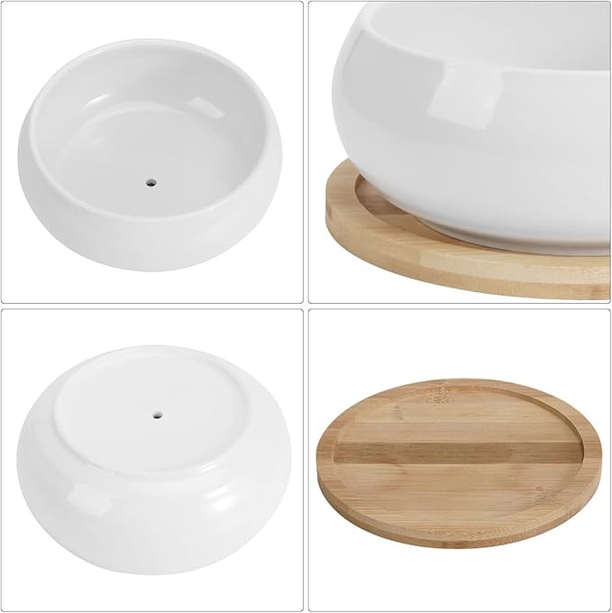 ZOUTOG 2 Pack Succulent Pots, 6 inch Ceramic Planters for Indoor Plants with Bamboo Tray, Pots with Drainage, Seeds＆ Plants Not Included