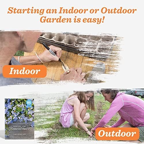 Bentley Memorial Blue Flax Seeds of Remembrance, Non-GMO, Non-Coated Packets, Funeral Keepsake, Linum Lewisii, 25 Pack