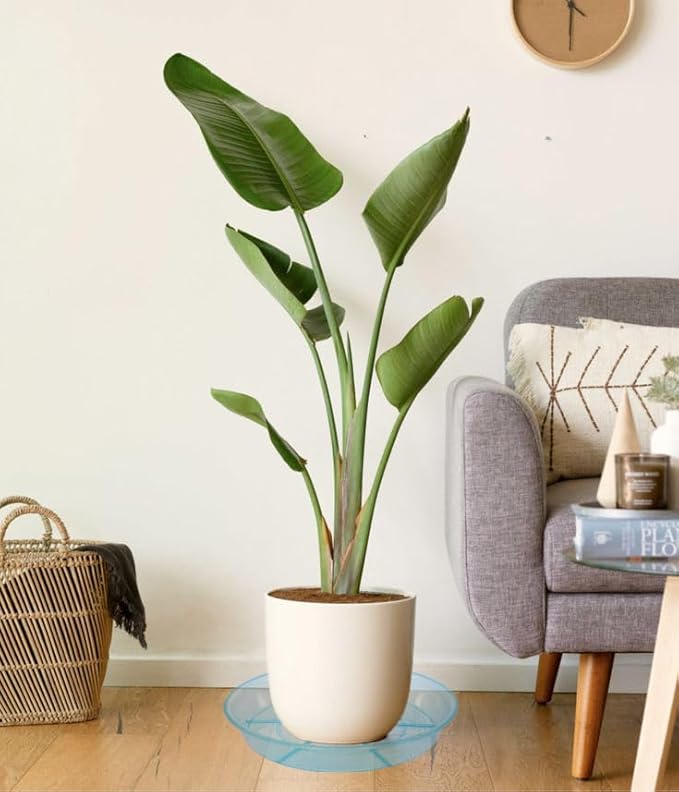 2 Pack Plant Saucer Drip Tray 12 inch, Heavy Sturdy Plastic Planter Flower Pot Saucers for Indoor Outdoor Garden, Plant Water Drip Trays for pots (12" 2Pack, Blue)