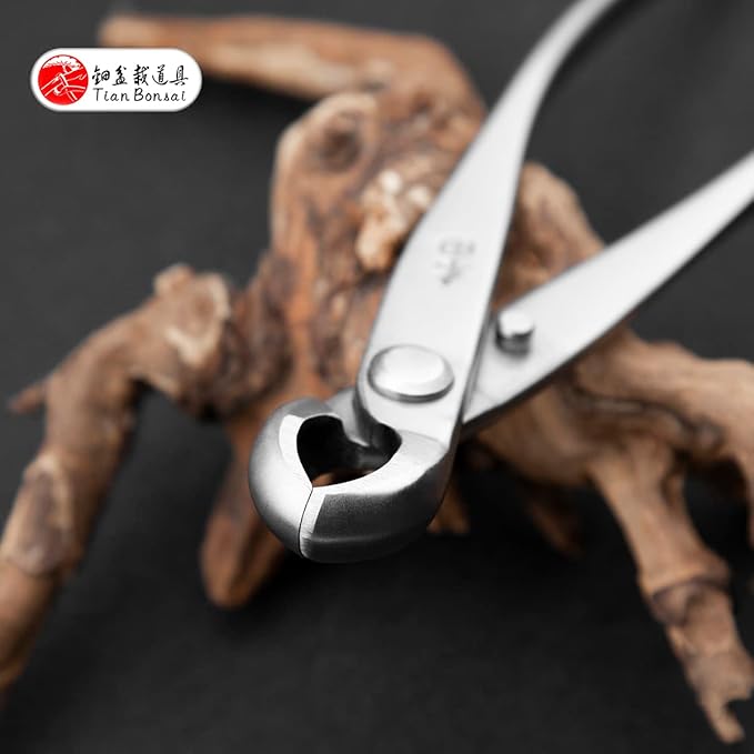 Bonsai Knob Cutter Round Edge Cutter Professional Grade Branch Cutter Alloy Steel Bonsai Tools Equip With Tool Bag (MT-KC-180)