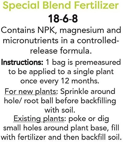 PERFECT PLANTS Tifblue Blueberry Live Plant, 3 Gallon, Includes Care Guide