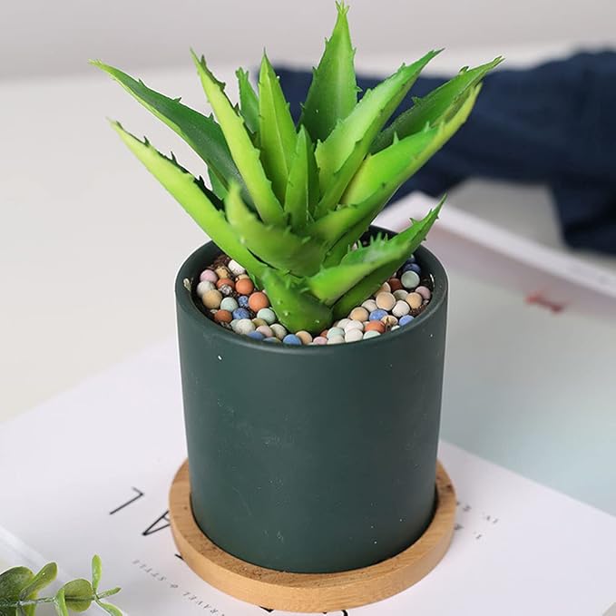 Garden Soil,Clay Pebbles Gardening Ceramsite Orchid Rocks Drainage Water Purification Ceramsite Decor Cultivation Soil Stone Horticultural Grade for Soil Hydroponics Aquaponics,4LBS