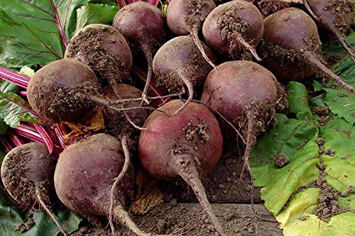 Potassium Polyacrylate Super Absorbent Polymer 45 Pounds