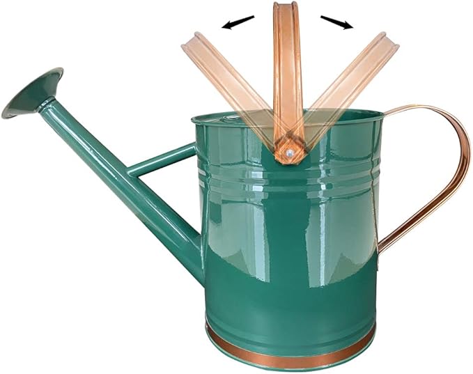 Metal Watering Can for Outdoor and Indoor Plants, Watering Can Decor, 1 Gallon (1 Gallon Green2)