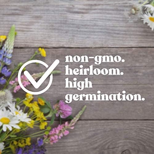 Wildflower Seeds Bulk, 3 Oz. 80,000+ Seeds, Partial Shade Flower Seeds, 19 Non-GMO Varieties of Flower Seeds for Shade - Wild Flowers Seeds Mix, Shade Tolerant Wildflowers for Partial Shade